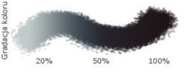 Czarny - barwnik w płynie (20ml)